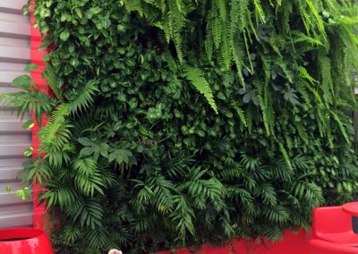 Mur végétal - plantes naturelles