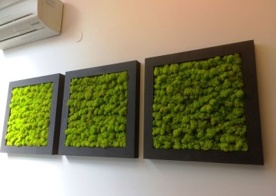 Mur végétal Lichen