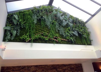 Mur végétal - Plantes artificielles
