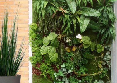 Mur végétal - Plantes artificielles