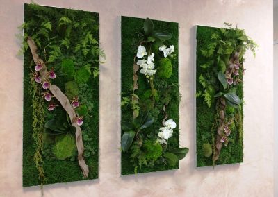 Mur végétal - Plantes artificielles et fleurs