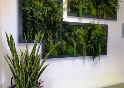 Mur végétal - Plantes artificielles et stabilisées