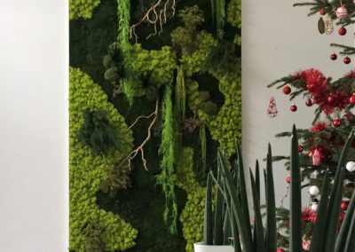 Mur végétal - Plantes artificielles et stabilisées