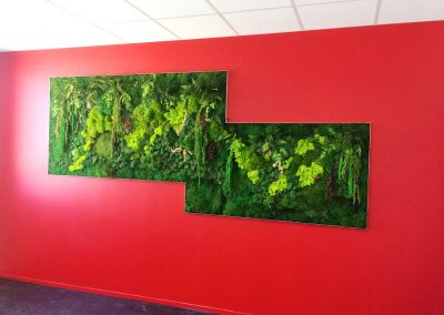 Mur végétal - Plantes artificielles et stabilisées