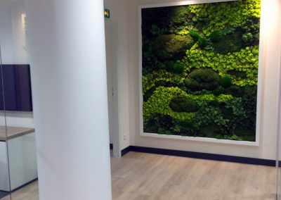 Mur végétal - Mousse et lichen stabilisés
