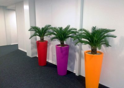 Décoration plantes artificielles
