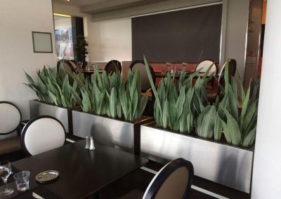 Décoration végétale - Plantes naturelles