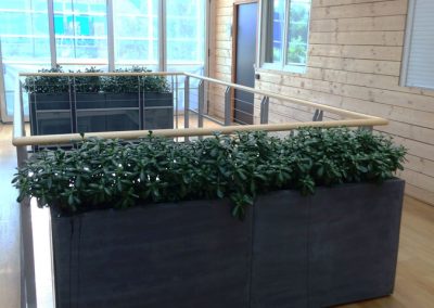 Décoration végétale - Plantes naturelles