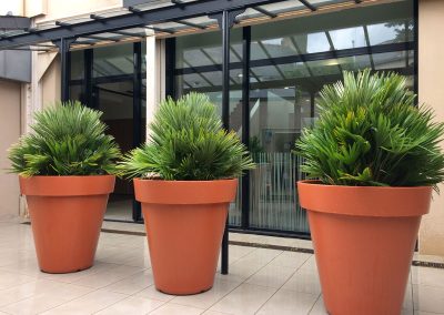 Décoration TERRASSE plantes naturelles