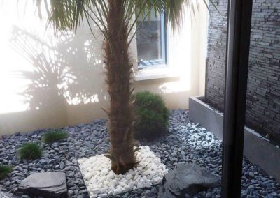 Décoration végétale - Plantes naturelles